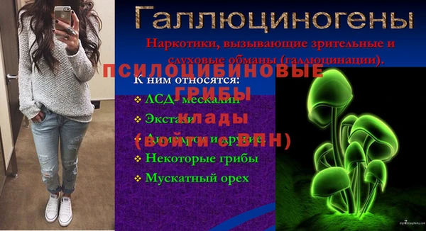 марки lsd Абаза