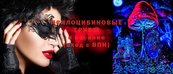 стафф Алексеевка