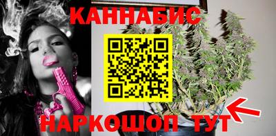индика Ирбит
