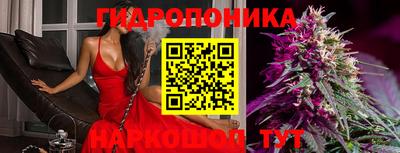 индика Ирбит