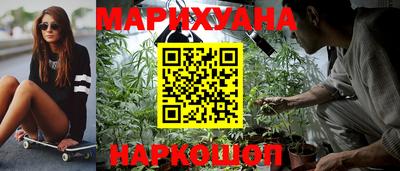 индика Ирбит