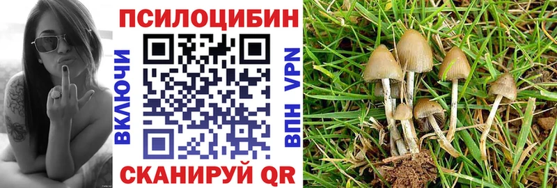 Псилоцибиновые грибы Magic Shrooms цены наркотик Нижний Новгород