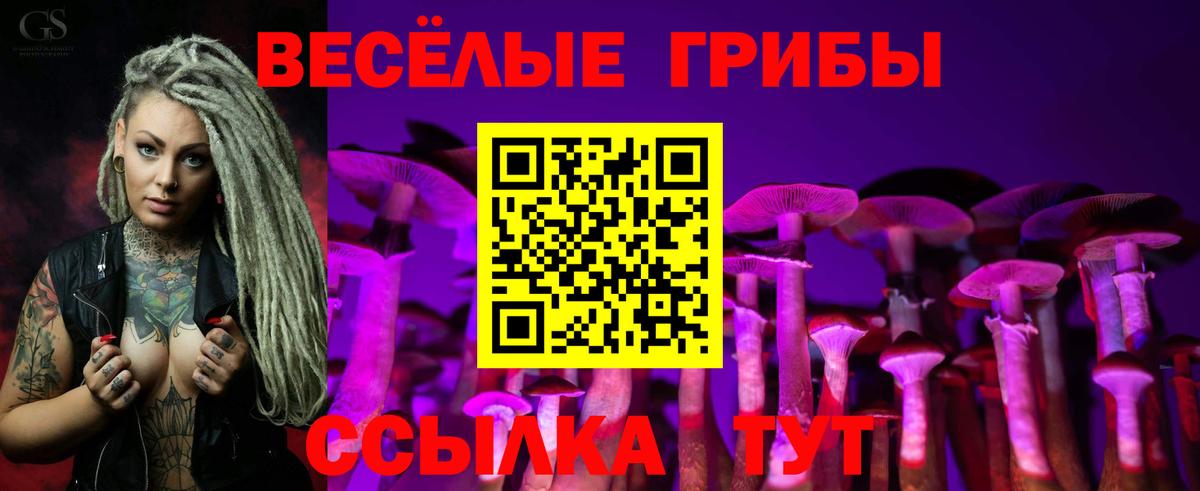 Галлюциногенные грибы MAGIC MUSHROOMS  Псилоцибиновые грибы ЛСД  Нижний Новгород  Вход с VPN 