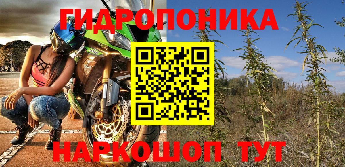 Нижний Новгород  Каннабис SATIVA & INDICA  Конопля OG Kush  Вход с VPN  Шишки марихуана LSD WEED 